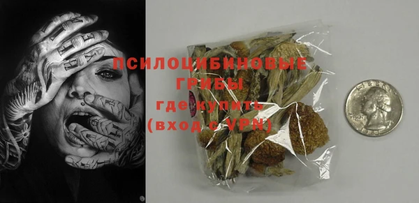молекула духа Вяземский