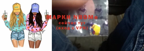молекула духа Вяземский