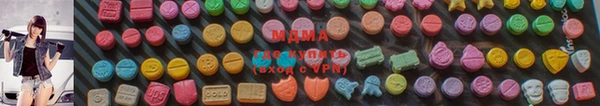 молекула духа Вяземский