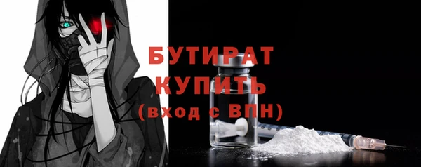 молекула духа Вяземский