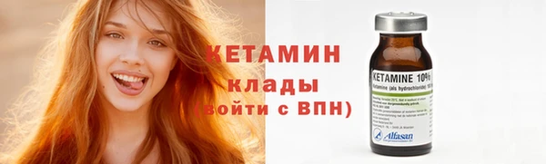 молекула духа Вяземский