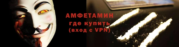 молекула духа Вяземский
