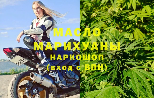 молекула духа Вяземский
