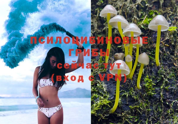 МДМА Вязьма
