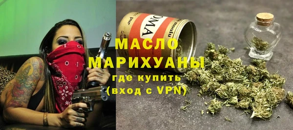 молекула духа Вяземский