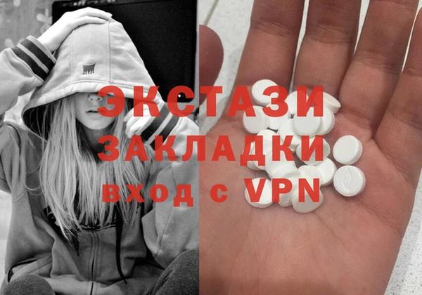 молекула духа Вяземский