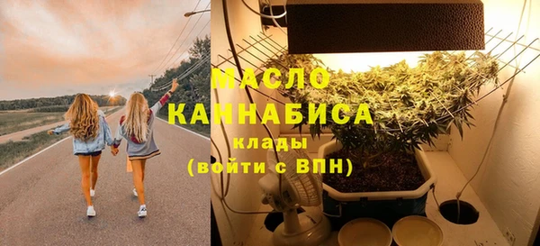 молекула духа Вяземский