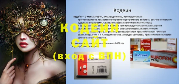 молекула духа Вяземский