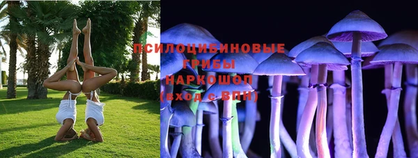 молекула духа Вяземский