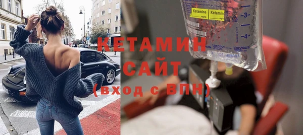 молекула духа Вяземский