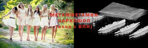 молекула духа Вяземский